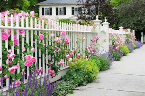 End of Spring Curb Appeal Tips