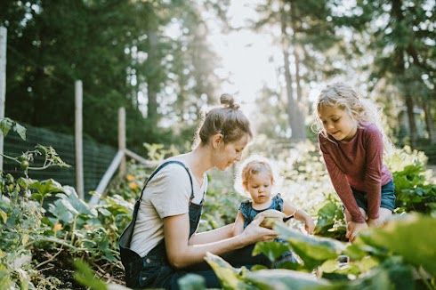 What To Plant In Your Garden In Summer