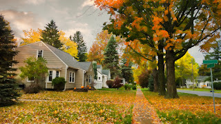 Preparing Your Home For Autumn and Winter