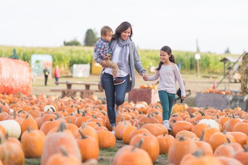 Celebrate Fall on Long Island