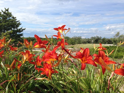 Best State Parks in Long Island