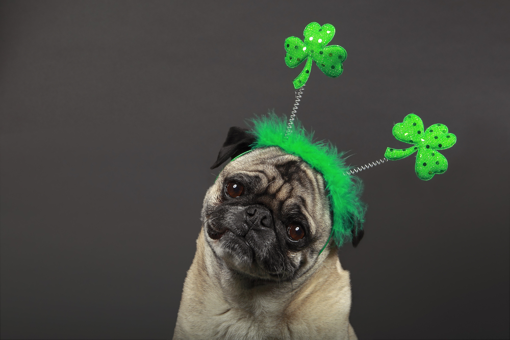 Places to Celebrate St. Patrick’s Day in Long Island