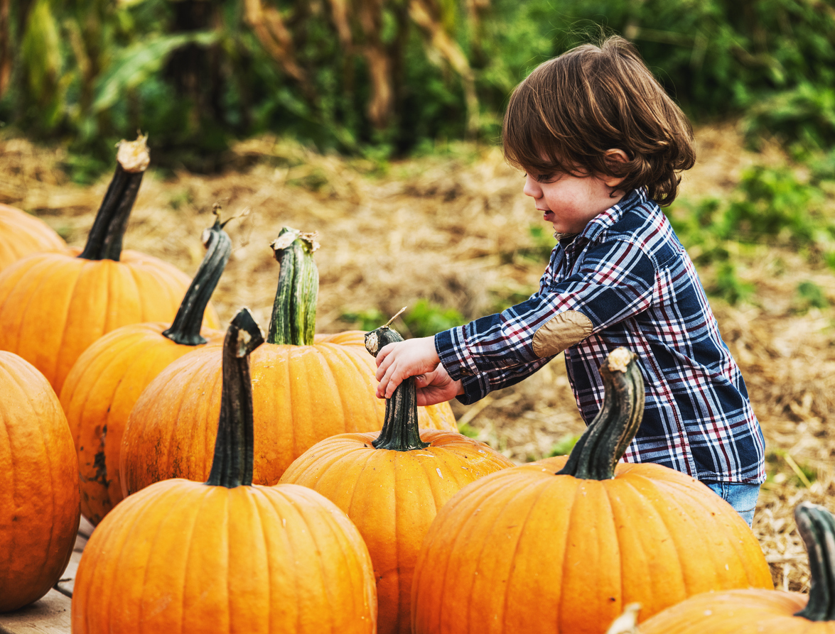 Fun October Activities on Eastern Long Island