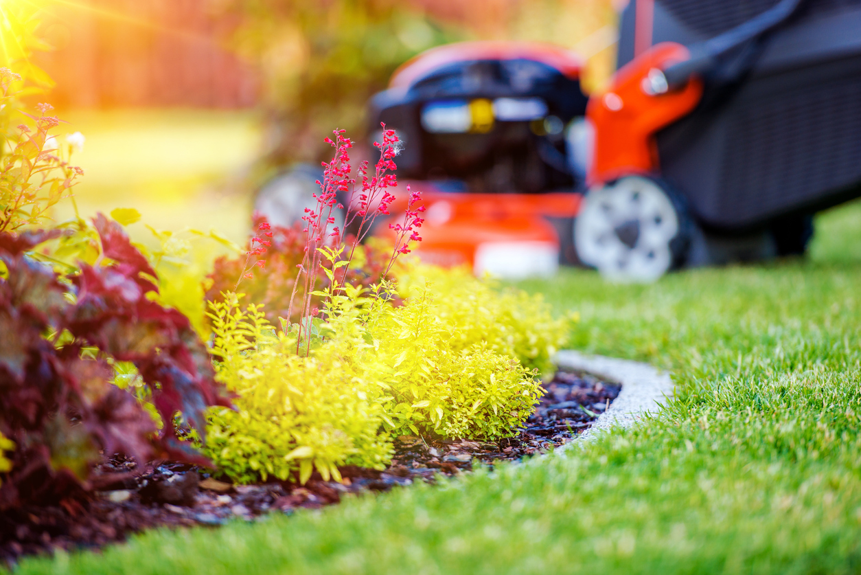 Lawn Care Tips for the End of Summer