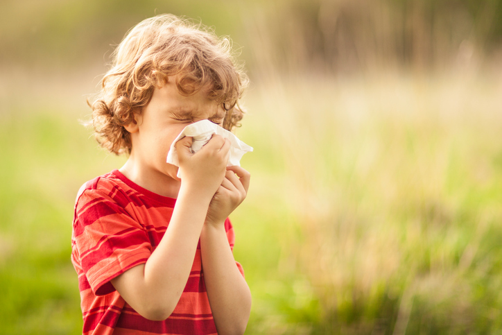 Quick Ways to Combat Spring Allergies