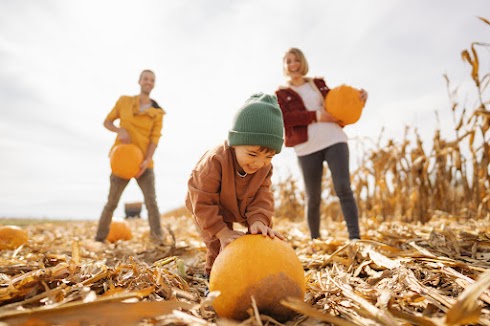 Celebrating Halloween on Long Island