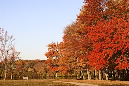 Best Spots To Visit In The Fall On Long Island