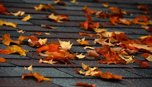 5 Ways Leaves can Affect Your Home