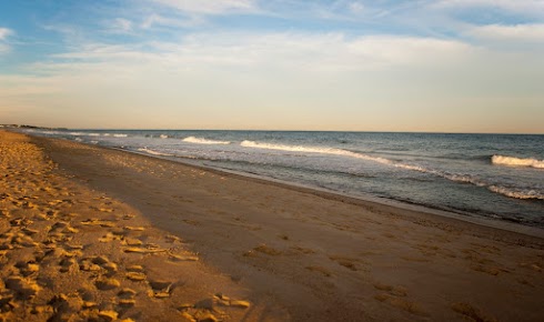 Celebrate National Beach Day on Long Island